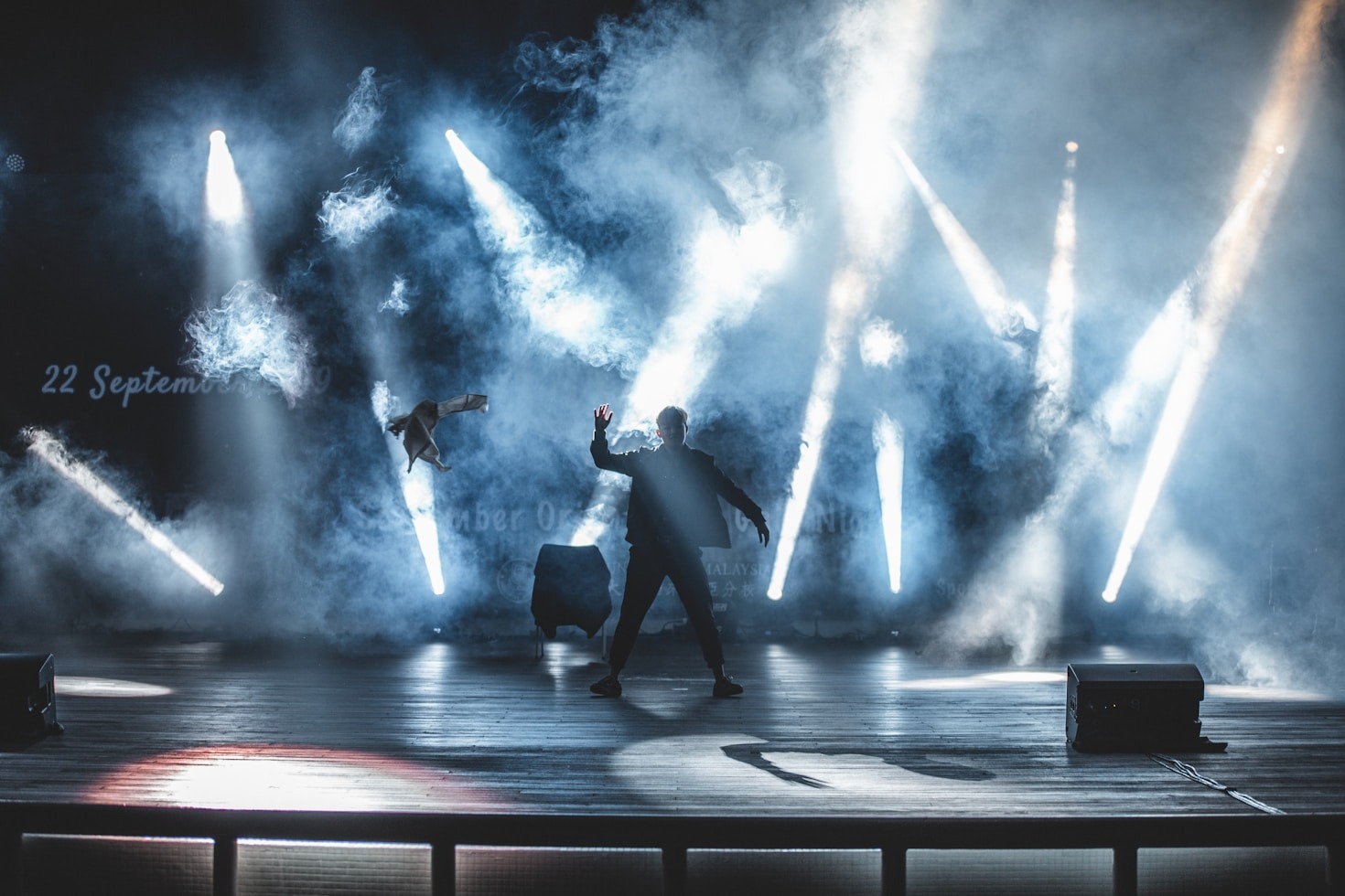The Magic Behind Themed Pastries and Performances